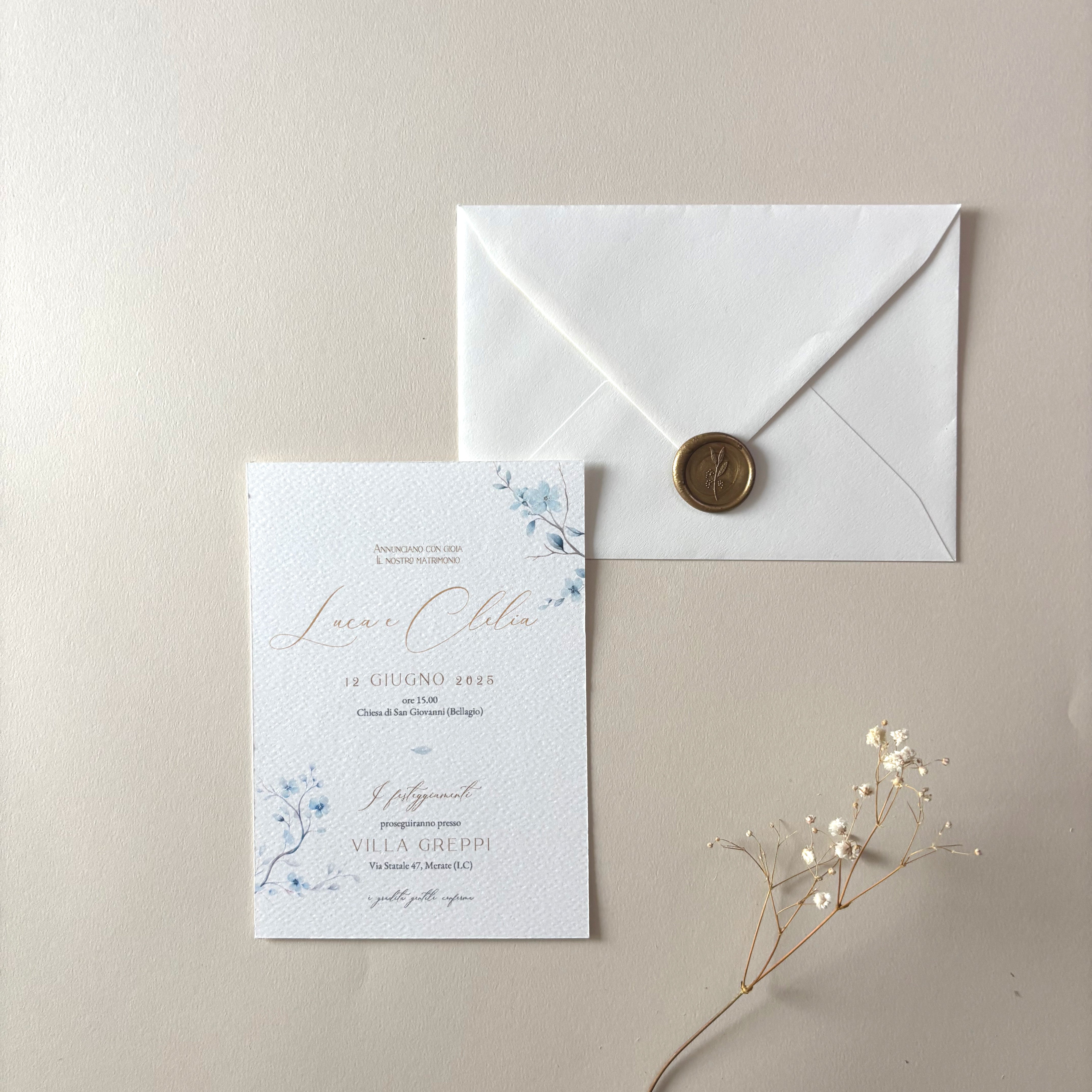 Partecipazioni Essentially Dream