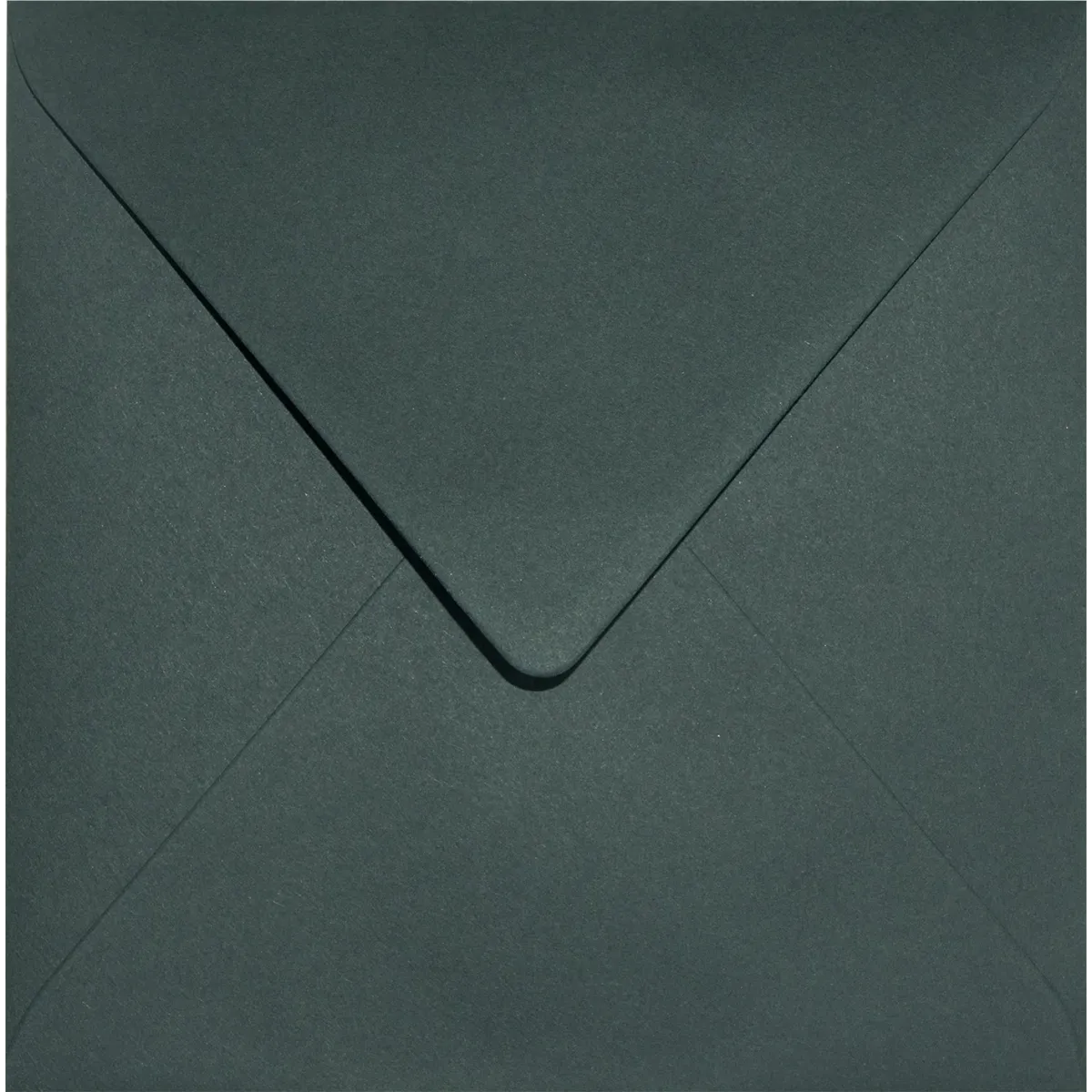 Busta basic Verde scuro quadrata 153 × 153 mm