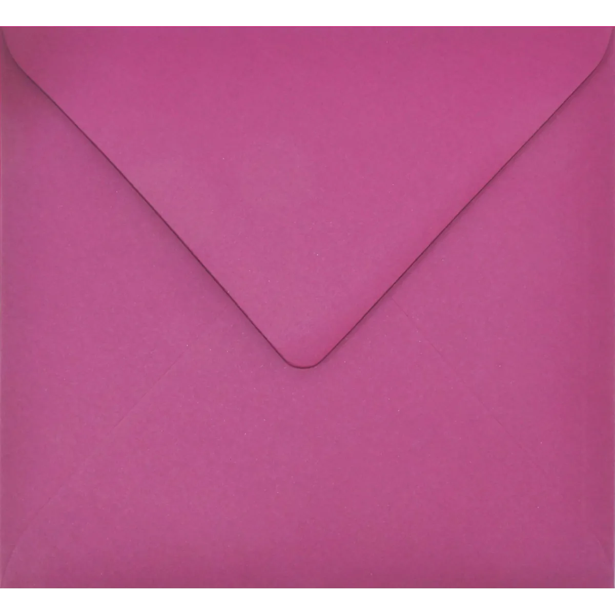 Busta basic Viola orchidea quadrata 153 × 153 mm
